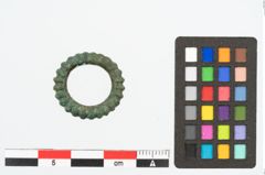 Foto von Bronzering (NHMW-PRAE-026640)